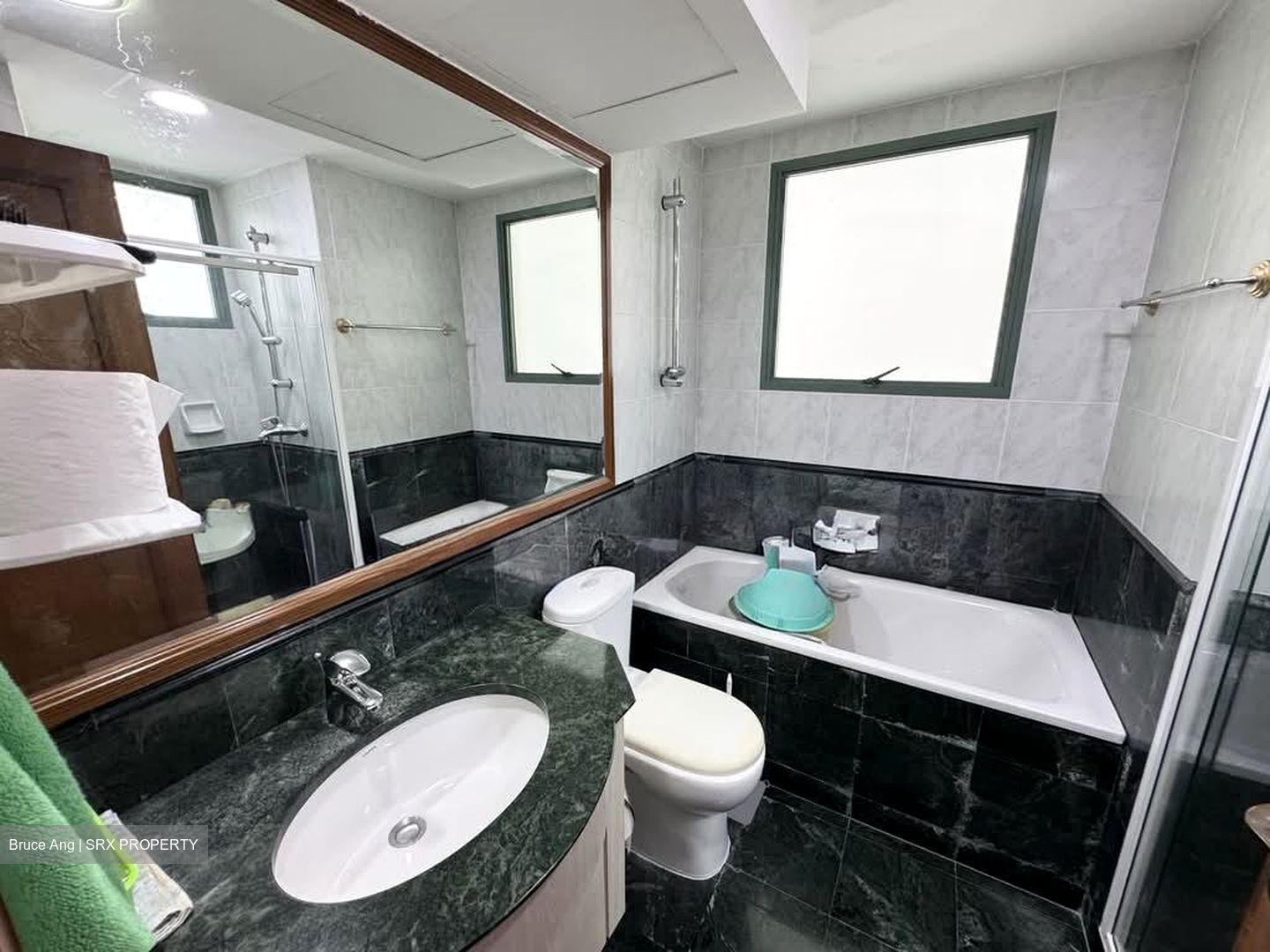 Palm Gardens (D23), Condominium #585044711